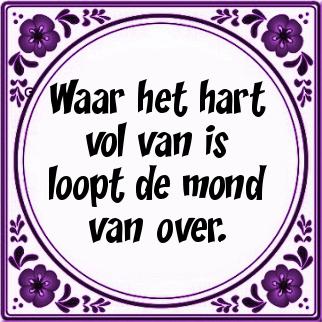 Lezing Spreekwoorden en gezegden door Mariël Schotpoort
