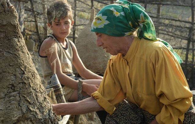 Film Nijkerk: Honeyland