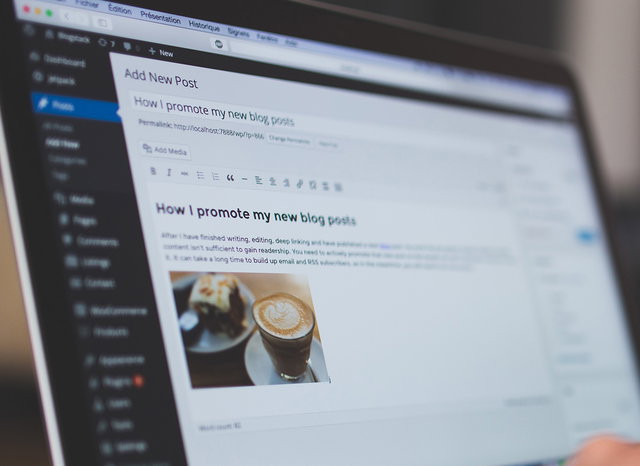WordPress website voor gevorderden - Maak slim je eigen website