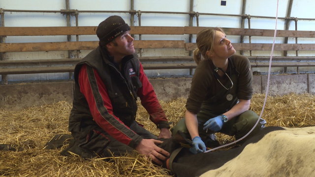Film en lezing: Veearts Maaike