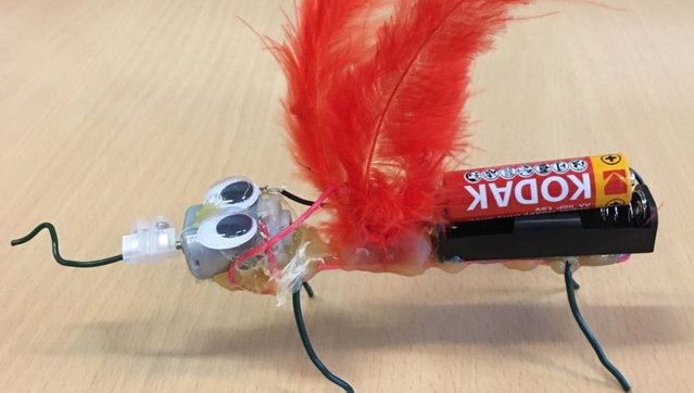 Workshop Bibberrobots
