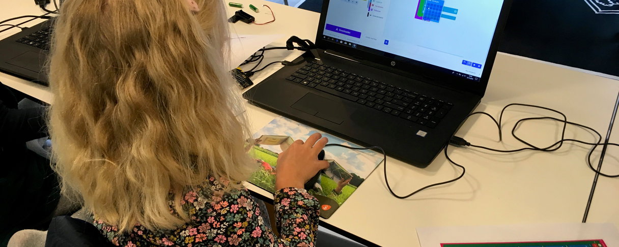 Micro:bit - de basis