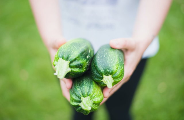 Moestuinspreekuur