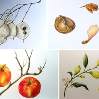 Cursus | Botanisch tekenen