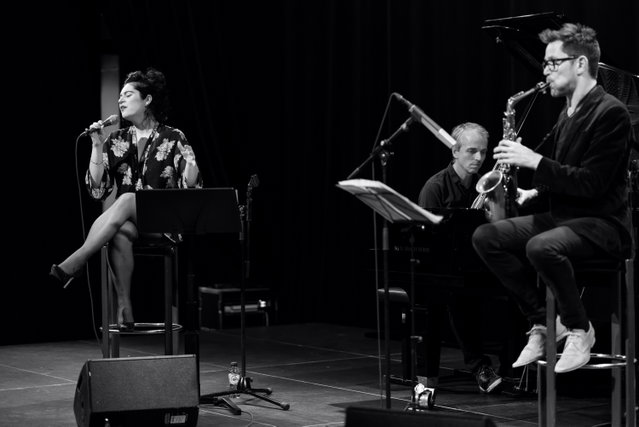 Concert voor nieuwkomers: Maak kennis met de Nederlandse taal via kleinkunst