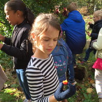 Workshop wildplukken voor kinderen