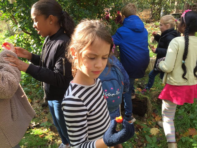 Workshop wildplukken voor kinderen