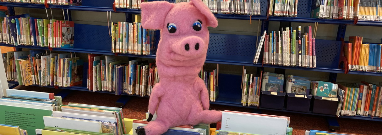 Boekie in de bieb