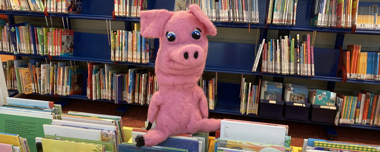 Boekie in de bieb
