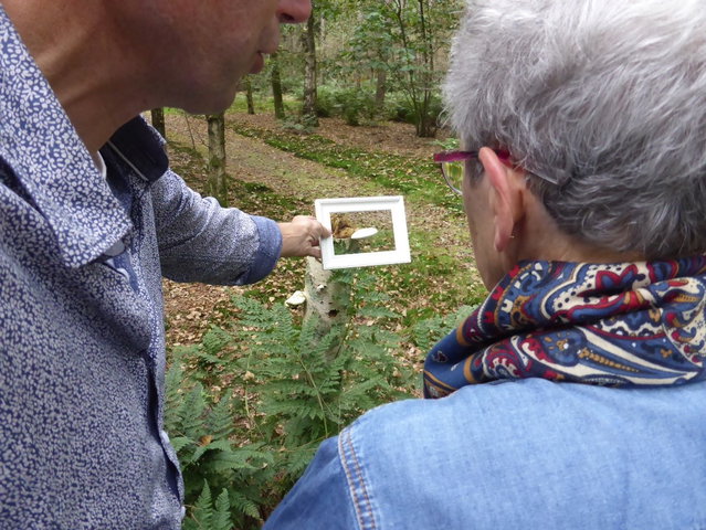 Natuur doet goed, ook voor mensen met dementie