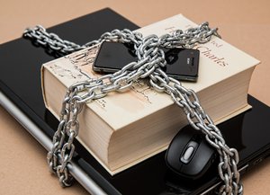VUN Lezing: Online veiligheid en privacy