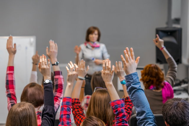 Kids College: Alles over zeewier