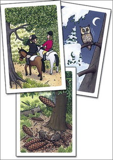Kletskous kaartenset _ Bos