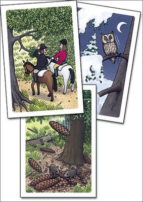 Kletskous kaartenset _ Bos