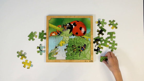 Informatievaardigheden I Voorschool, Groep 1-3 I Groeipuzzel Lieveheersbeestje