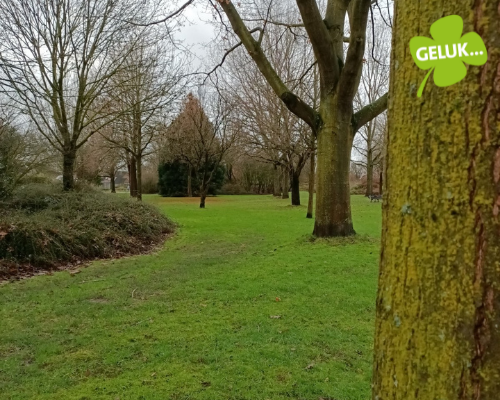 Wandeling vol geluk
