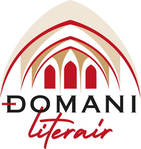 Venlo Leest! presenteert 'Domani Literair 2024'