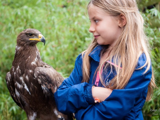 Kindercollege 10-08-2022 16:00