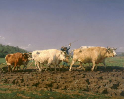 Kunstlezing Rosa Bonheur door Bureau Boeiend 21-12-2022 19:30