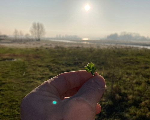 Herfstwandeling Geluk zoeken