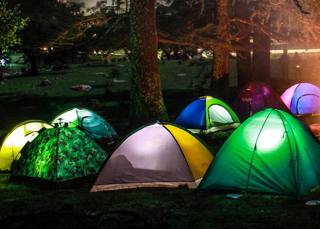 Gi-Ga Groen! Kinderboekencamping Krimpen!