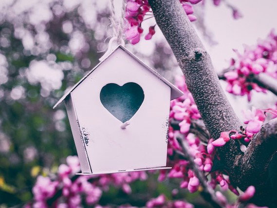 Vogelhuisjes beschilderen