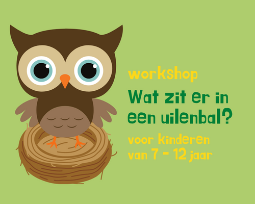 Wat zit er in een uilenbal?