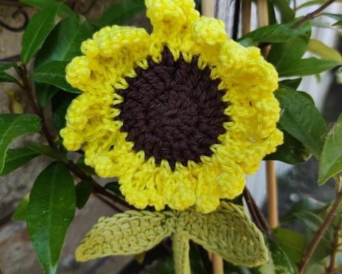 Workshop zonnebloem haken