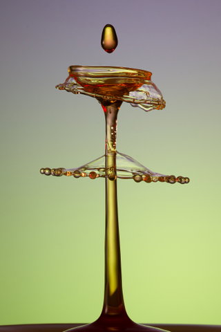 Expositie Martien van Dommelen: De magie van een waterdruppel