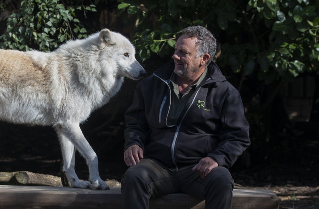 Informatieavond De wolf op de Veluwe | Webinar