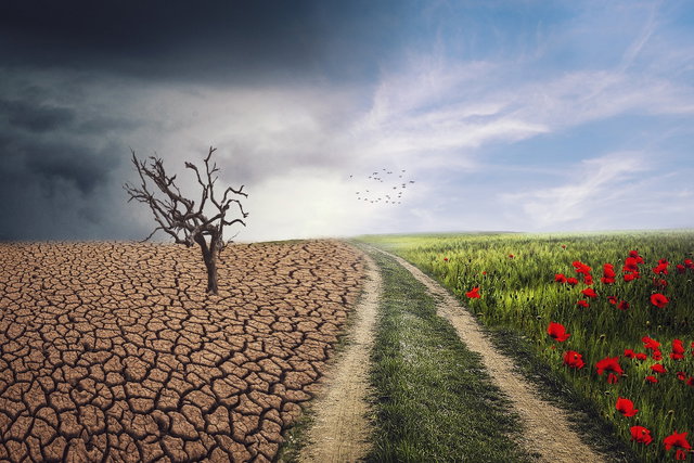 Klimaatverandering