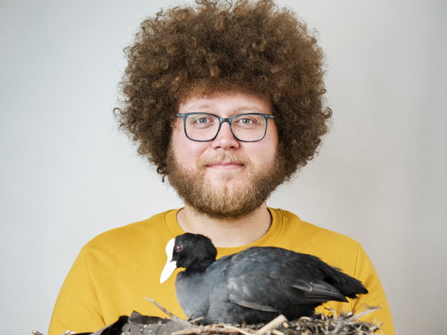 Auke-Florian Hiemstra | Perronpapegaaien & Krekelcriminelen