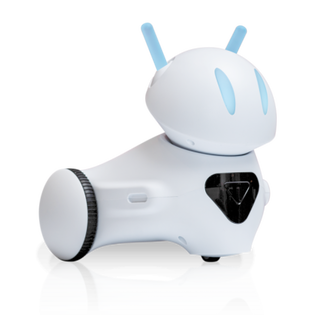 Programmeren met de Photon-robot