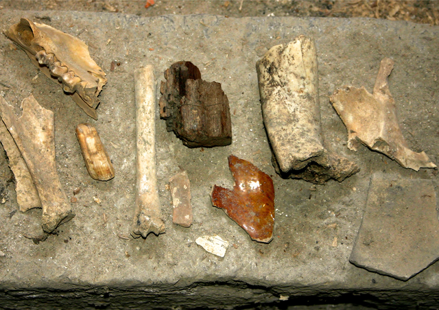 Kindercollege Archeologie: op zoek naar een schat 8+