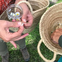 Wildpluksafari Zelf-op-Pad Tour