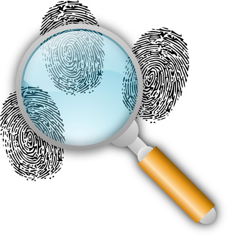 MAD SCIENCE workshop: Wetenschap voor detectives