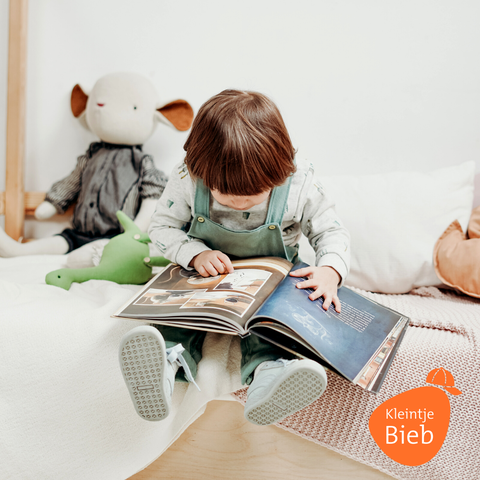 Kleintje Bieb: Plaatjes en Praatjes