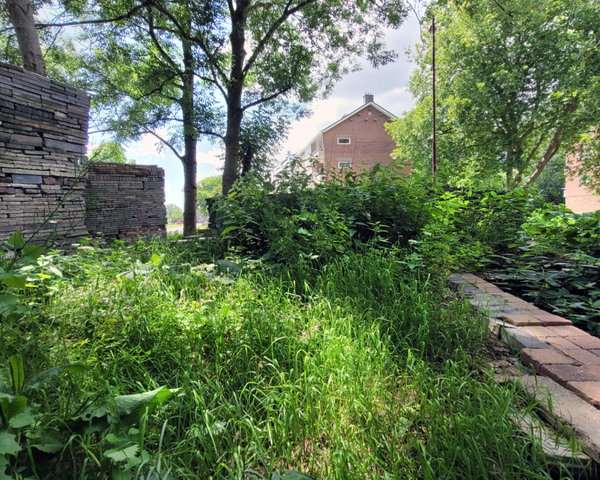 Inspiratieavond: 'Hoe groen is Heerenveen in 2050' 16-06-2023 19:30
