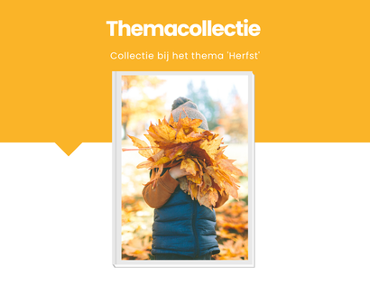 Themacollectie Herfst