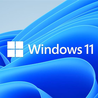 Basiscursus Windows 11 door SeniorWeb