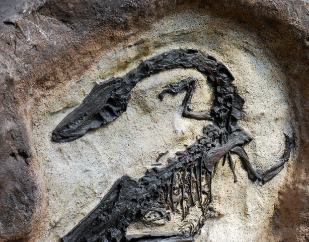 Lezing | Het belang van archeologie