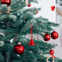 Ontwerp je eigen kerstkaart met Canva!