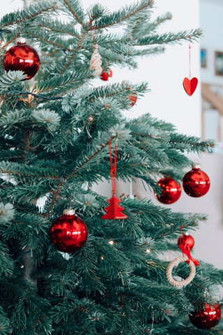Ontwerp je eigen kerstkaart met Canva!
