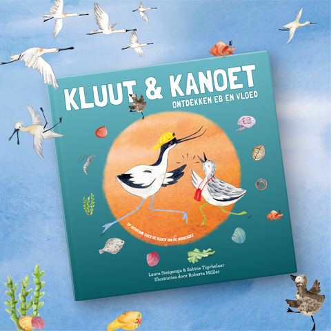 Workshop Kluut & Kanoet | St.-Annaparochie