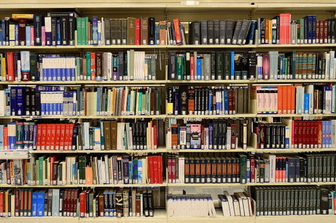 Monitor de Bibliotheek op school