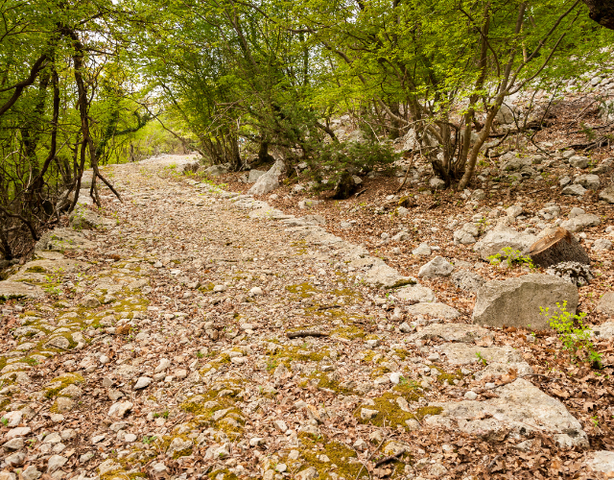 Lezing | Romeinse archeologie