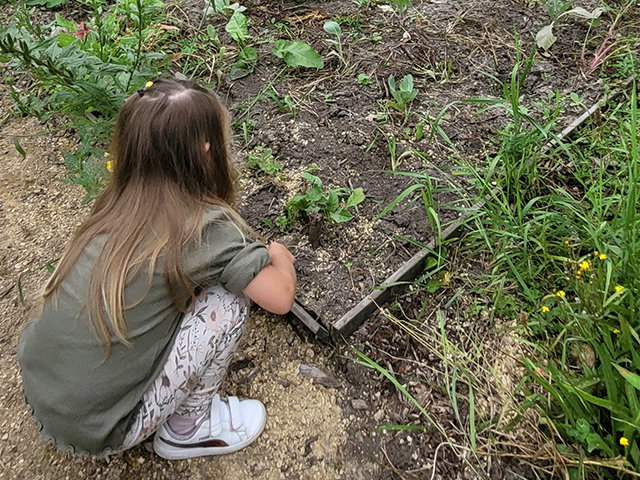 Voorlezen en plantjes planten
