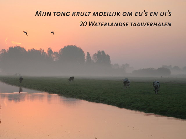 Boek 20 Waterlandse taalverhalen