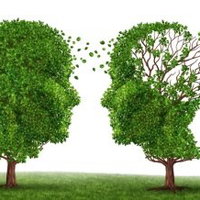 Lezing - Levenstestament, wie behartigt uw belangen als u dit zelf niet meer kunt!