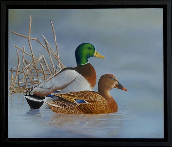 Expositie "Sfeer en Kleur"